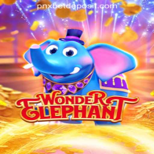 Embark on an Adventure with WonderElephant: A Comprehensive Guide